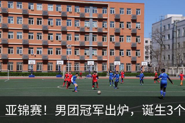 亚锦赛！男团冠军出炉，诞生3个不可思议，张本跪地，林诗栋杀疯